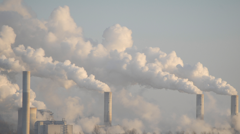 Pollution and the effects of the exposome on the skin