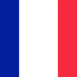 FRENCH FLAG 