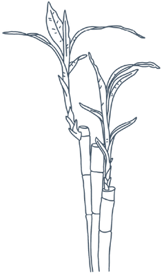 Decorative element